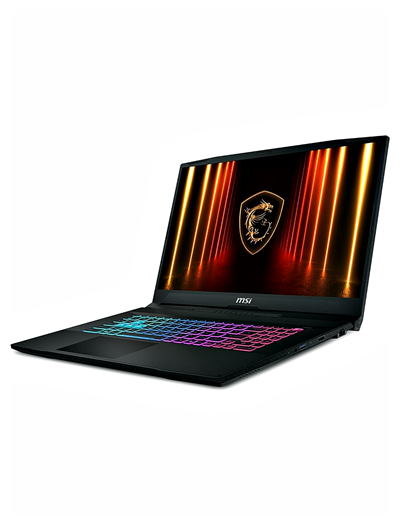 MSI KATANA 17 HX B14WFKA4-216XTRA4 İntel Core İ7 14650HX 16GB 1TB SSD RTX5060 Windows 10 Pro 17.3