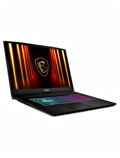 MSI KATANA 17 HX B14WFKA44-216XTRA44 İntel Core İ7 14650HX 32GB 4TB SSD RTX5060 Freedos 17.3