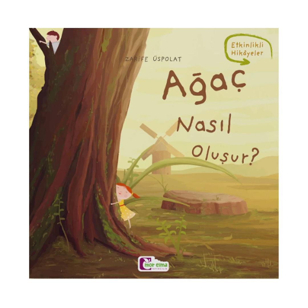 Ağaç Nasıl Oluşur?