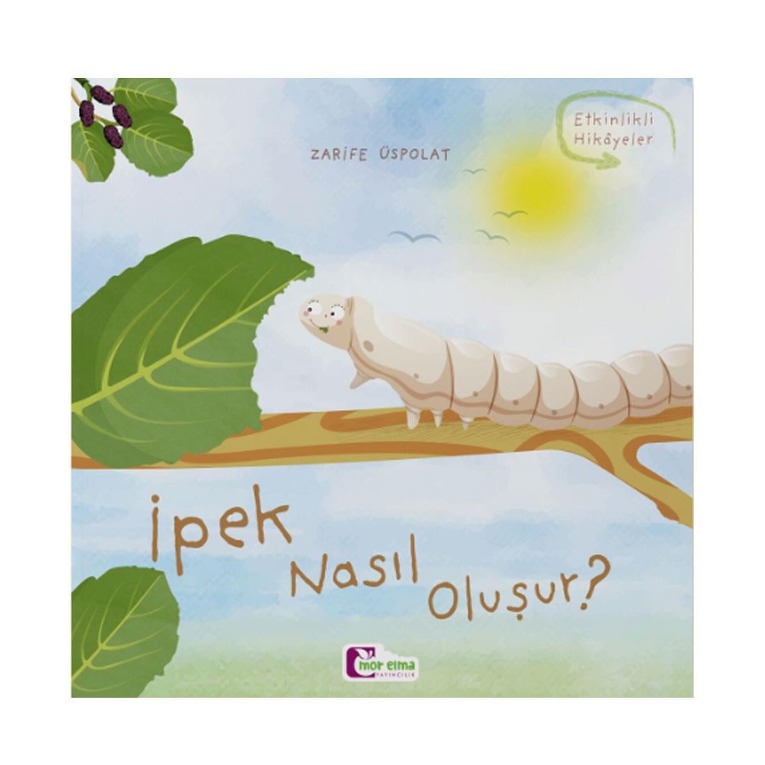 İpek Nasıl Oluşur?