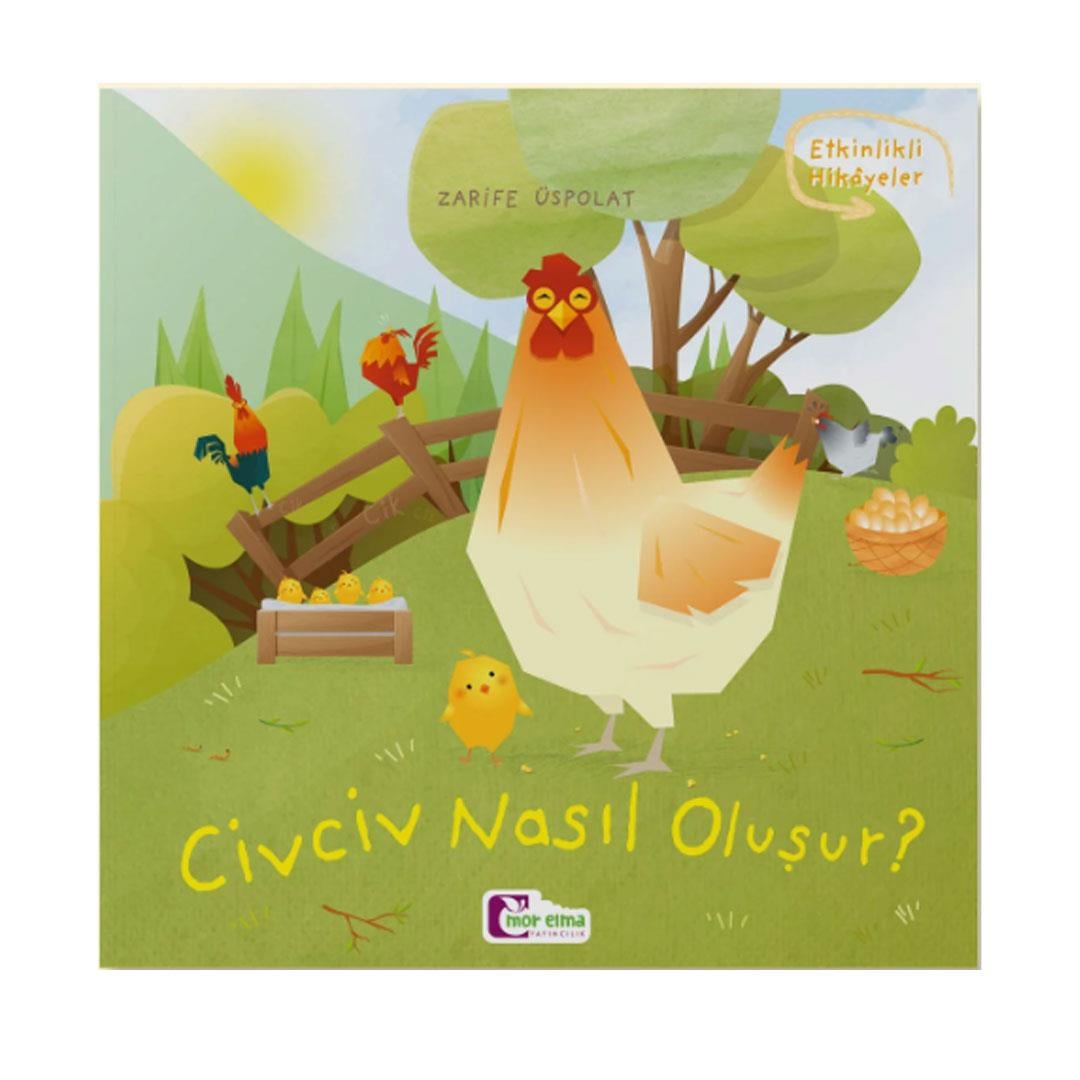 Civciv Nasıl Oluşur?