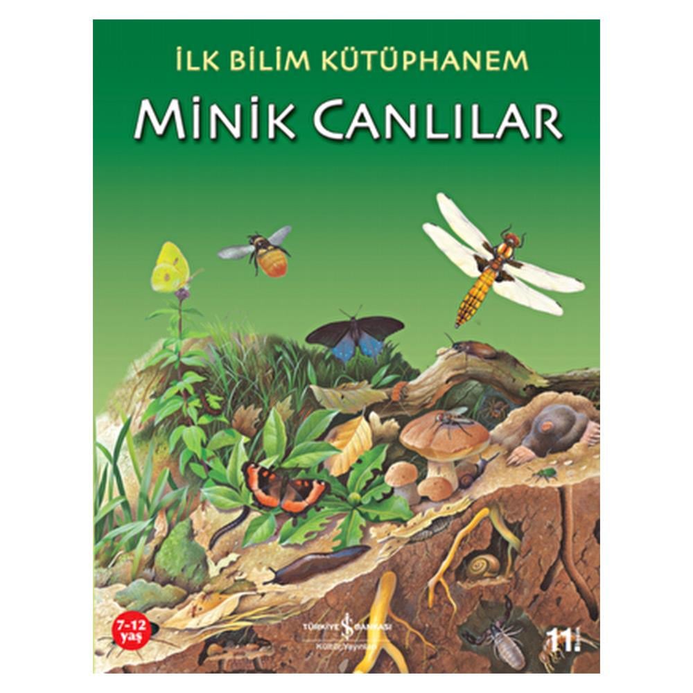 İLK BİLİM K.-MİNİK CANLILAR