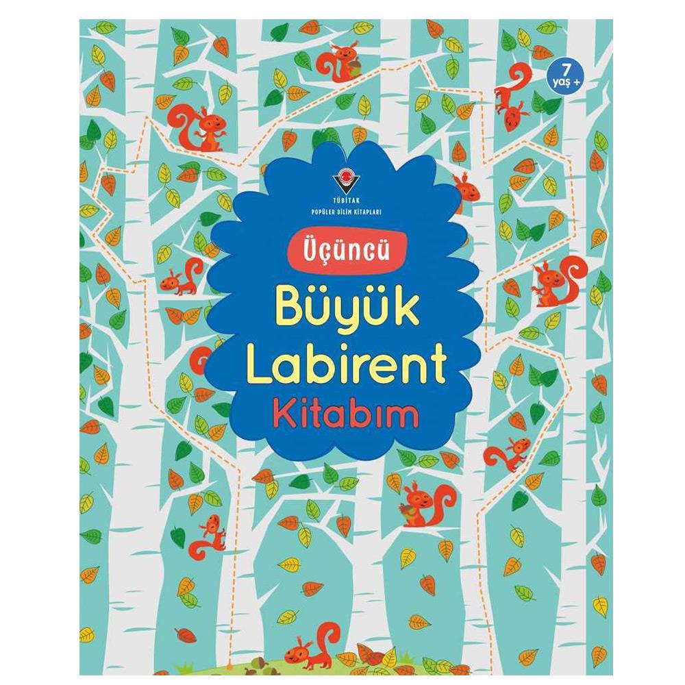 TÜBİTAK ÜÇÜNCÜ BÜYÜK LABİRENT KİTABIM