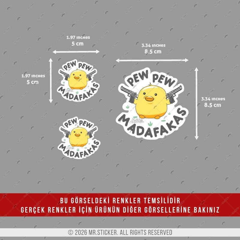 CSFT46 Renk Değiştiren Seri Pew Pew Civciv Etiketi 3lü Set