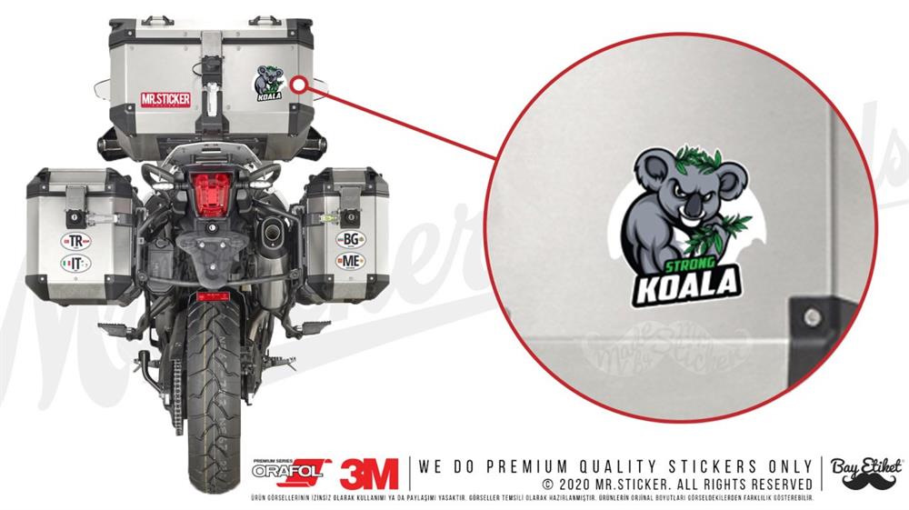 AN30 Kasli Koala Etiketi