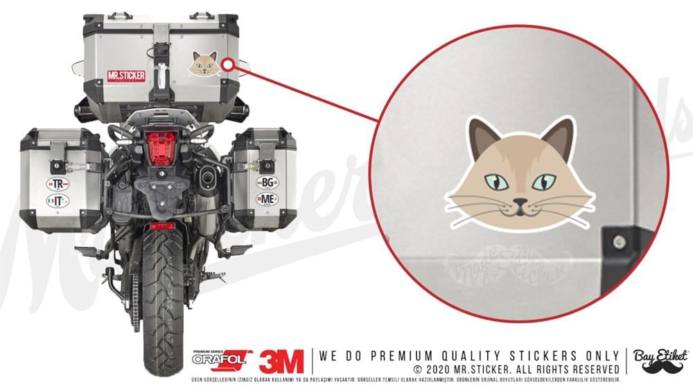 ANCT13- Birman Kedi Etiketi