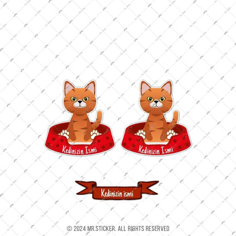 ANCT31 Sari Tekir Kedi Etiketi Seti - Kedinizin Ismine Ozel