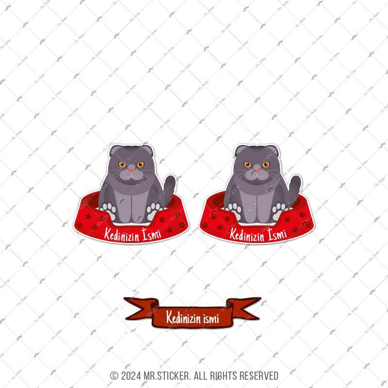 ANCT33 British Fold Kedi Etiketi Seti - Kedinizin Ismine Ozel
