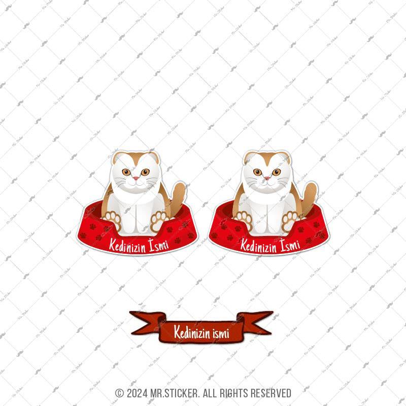 ANCT34 Scottish Fold Kedi Etiketi Seti - Kedinizin Ismine Ozel