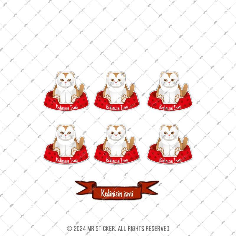 ANCT34 Scottish Fold Kedi Etiketi Seti - Kedinizin Ismine Ozel