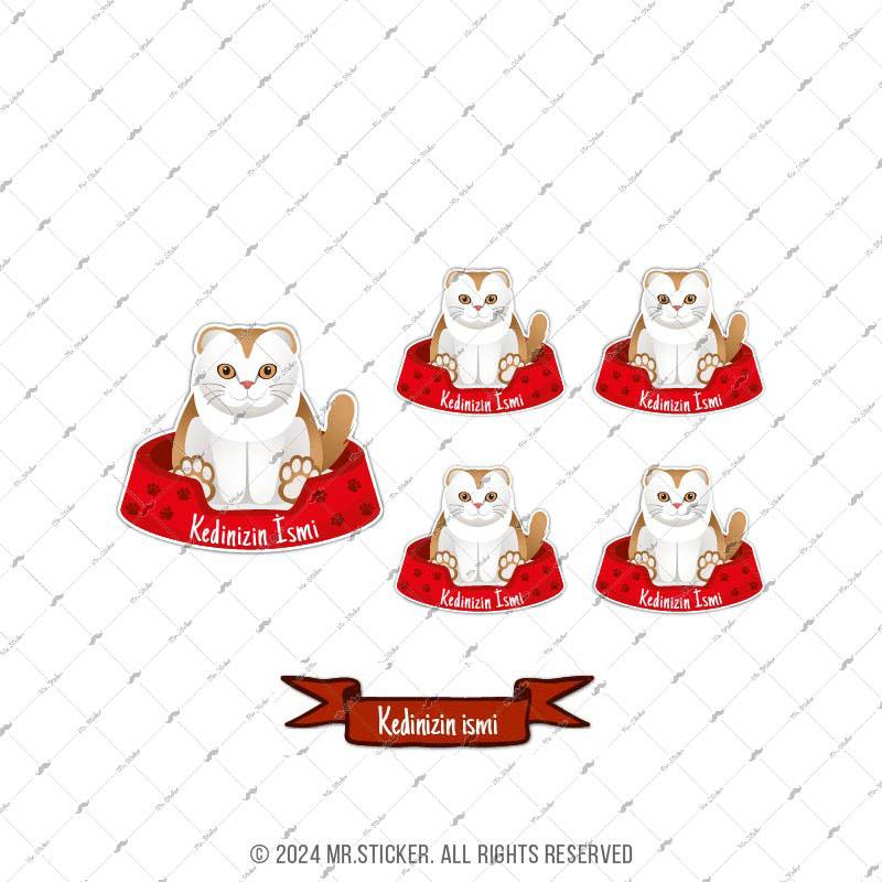 ANCT34 Scottish Fold Kedi Etiketi Seti - Kedinizin Ismine Ozel
