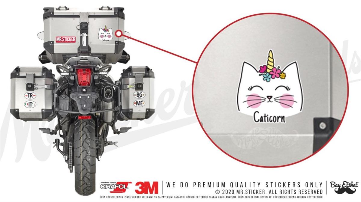 ANCT46 Caticorn Yazili Etiket Seti - 2 Kucuk 1 Orta Boy