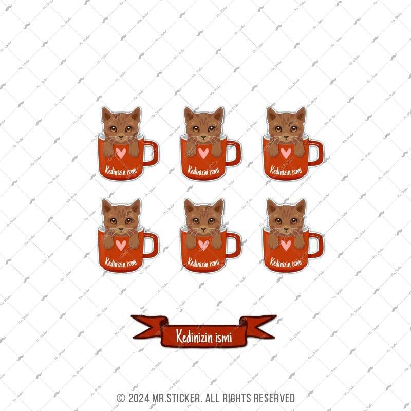 ANCT56 Somali Kedi Etiketi Seti - Kedinizin Ismine Ozel