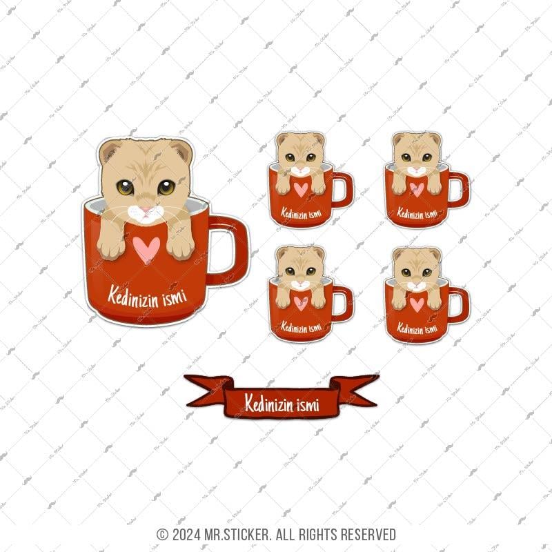 ANCT60 Scottish Fold Kedi Etiketi Seti - Kedinizin Ismine Ozel