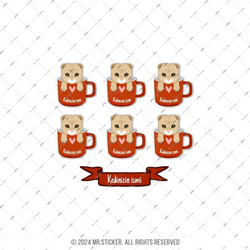 ANCT60 Scottish Fold Kedi Etiketi Seti - Kedinizin Ismine Ozel