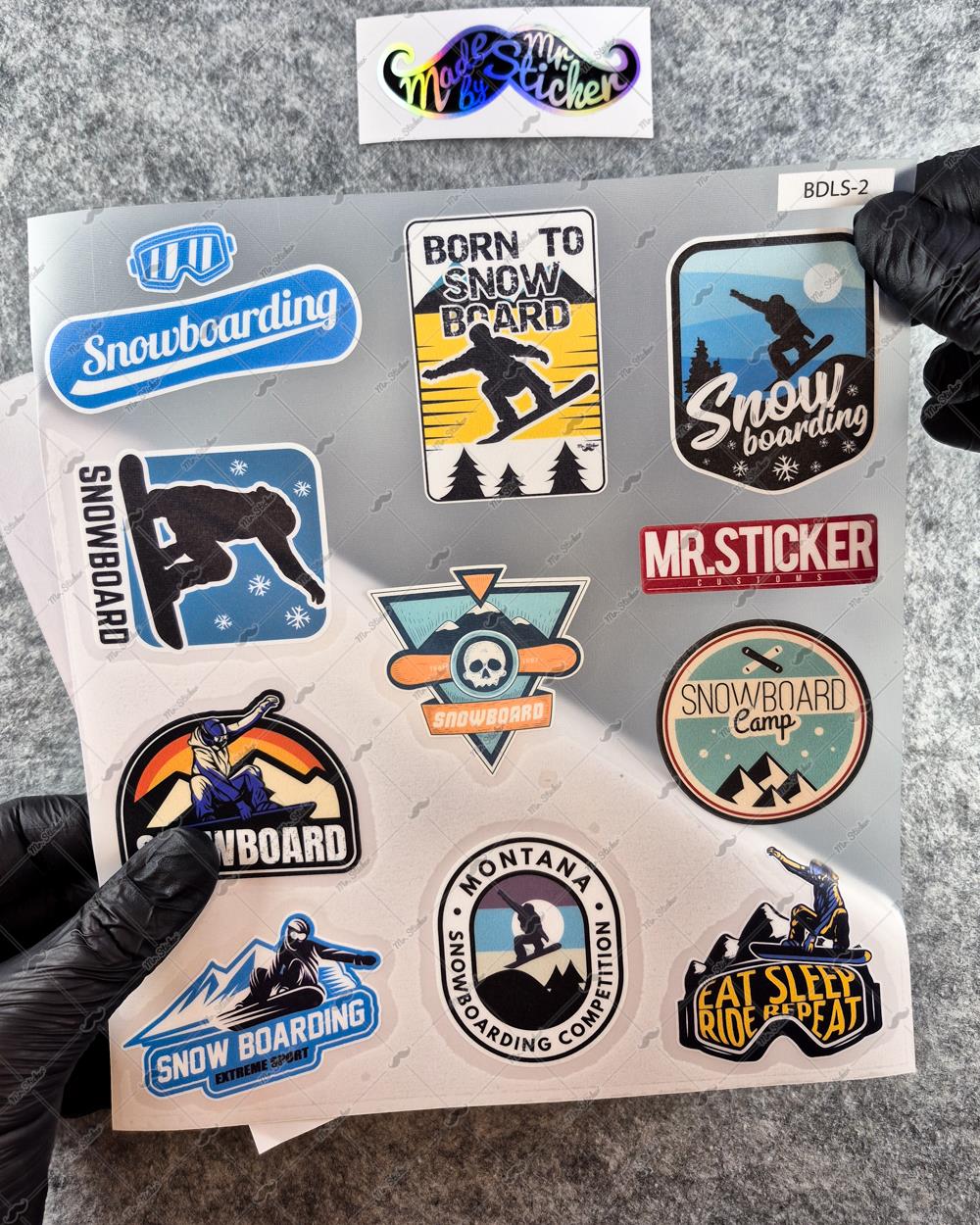 BDLS2 Küçük Boy 10lu Sticker Seti