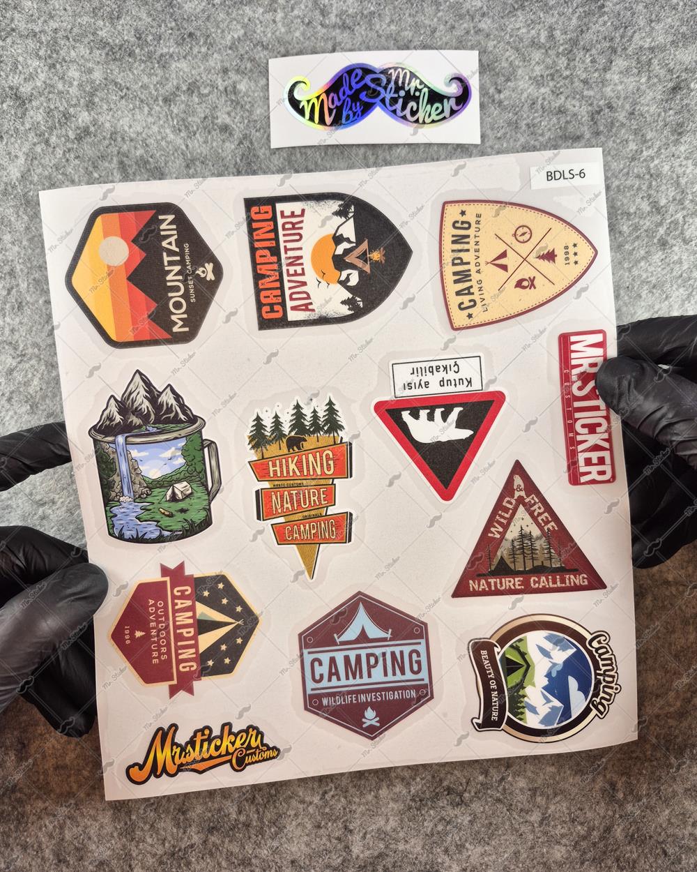 BDLS6 Küçük Boy 10lu Sticker Seti