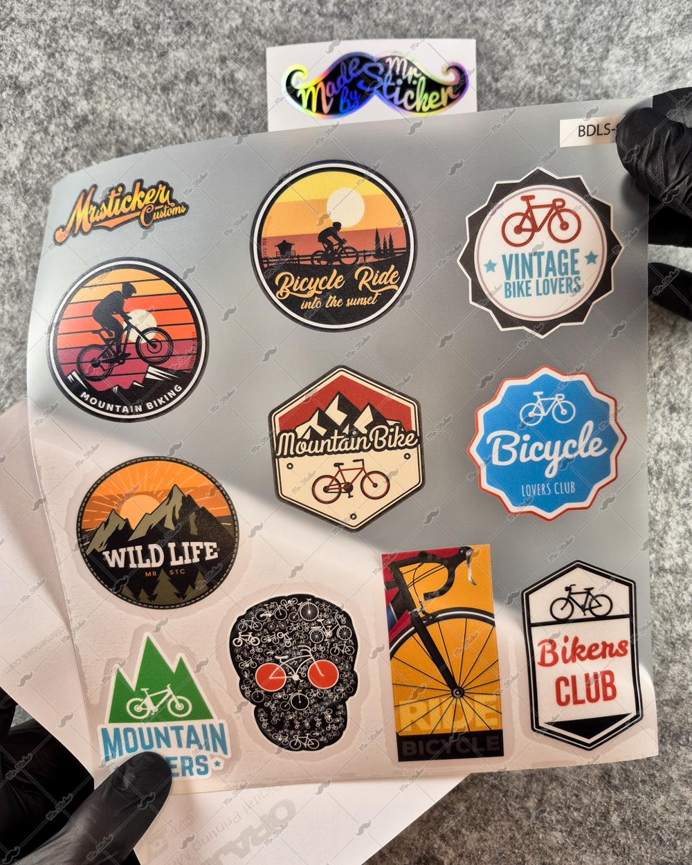 BDLS9 Küçük Boy 10lu Sticker Seti