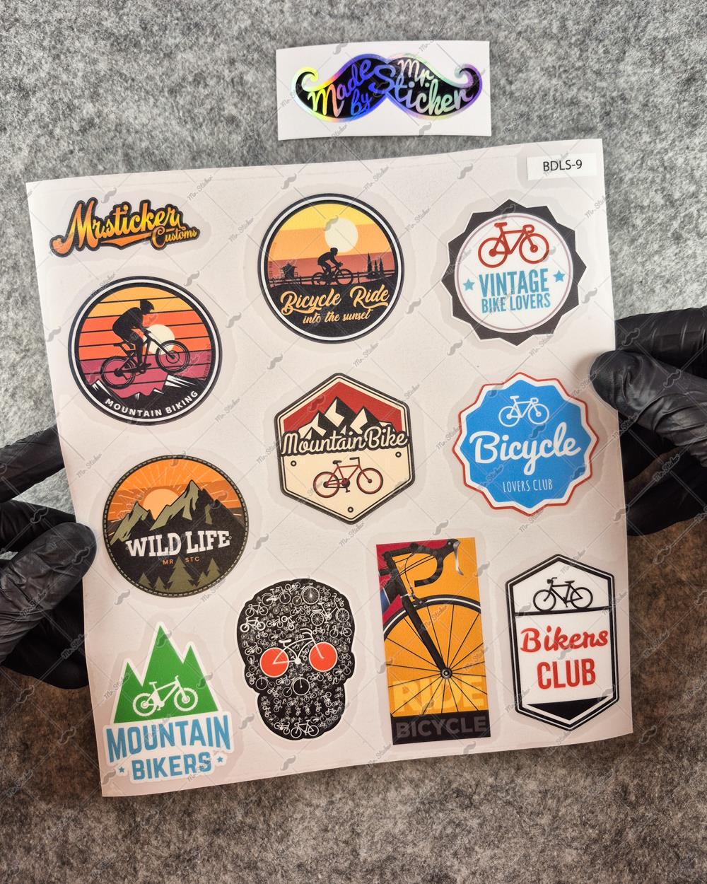 BDLS9 Küçük Boy 10lu Sticker Seti