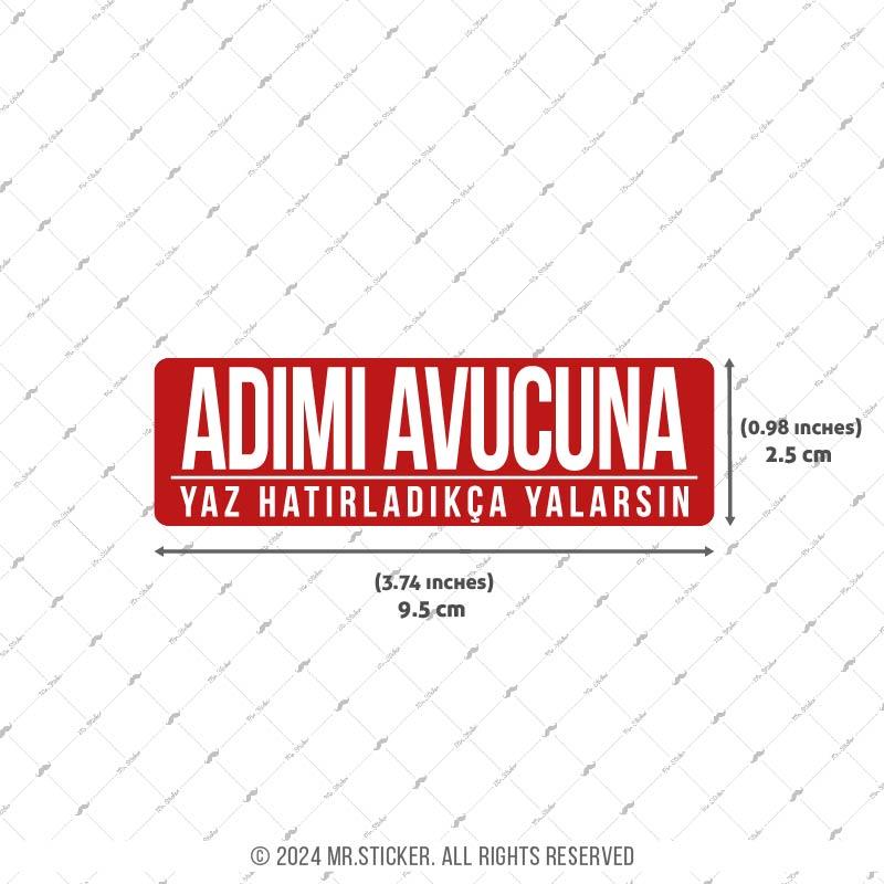 ESP47 V3 Adimi Avucuna Yaz Yazili Etiket