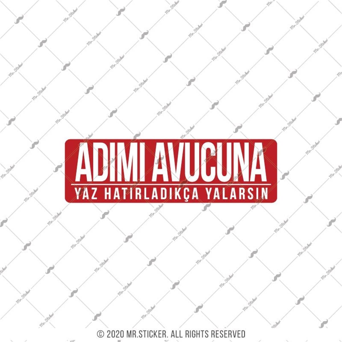 ESP47 V3 Adimi Avucuna Yaz Yazili Etiket