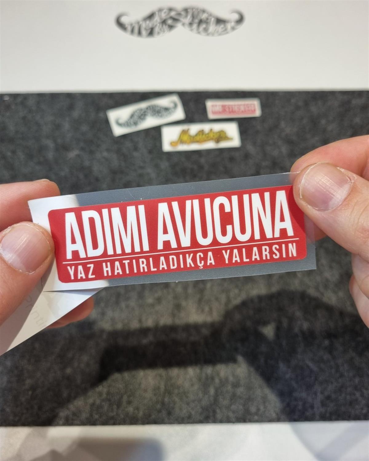 ESP47 V3 Adimi Avucuna Yaz Yazili Etiket