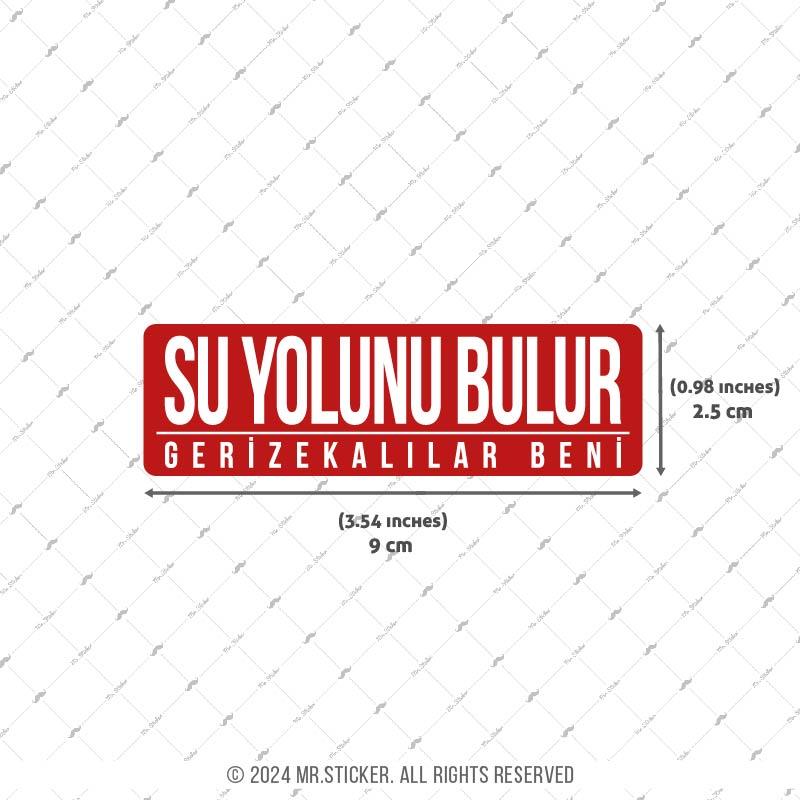 ESP58 V3 Su Yolunu Bulur