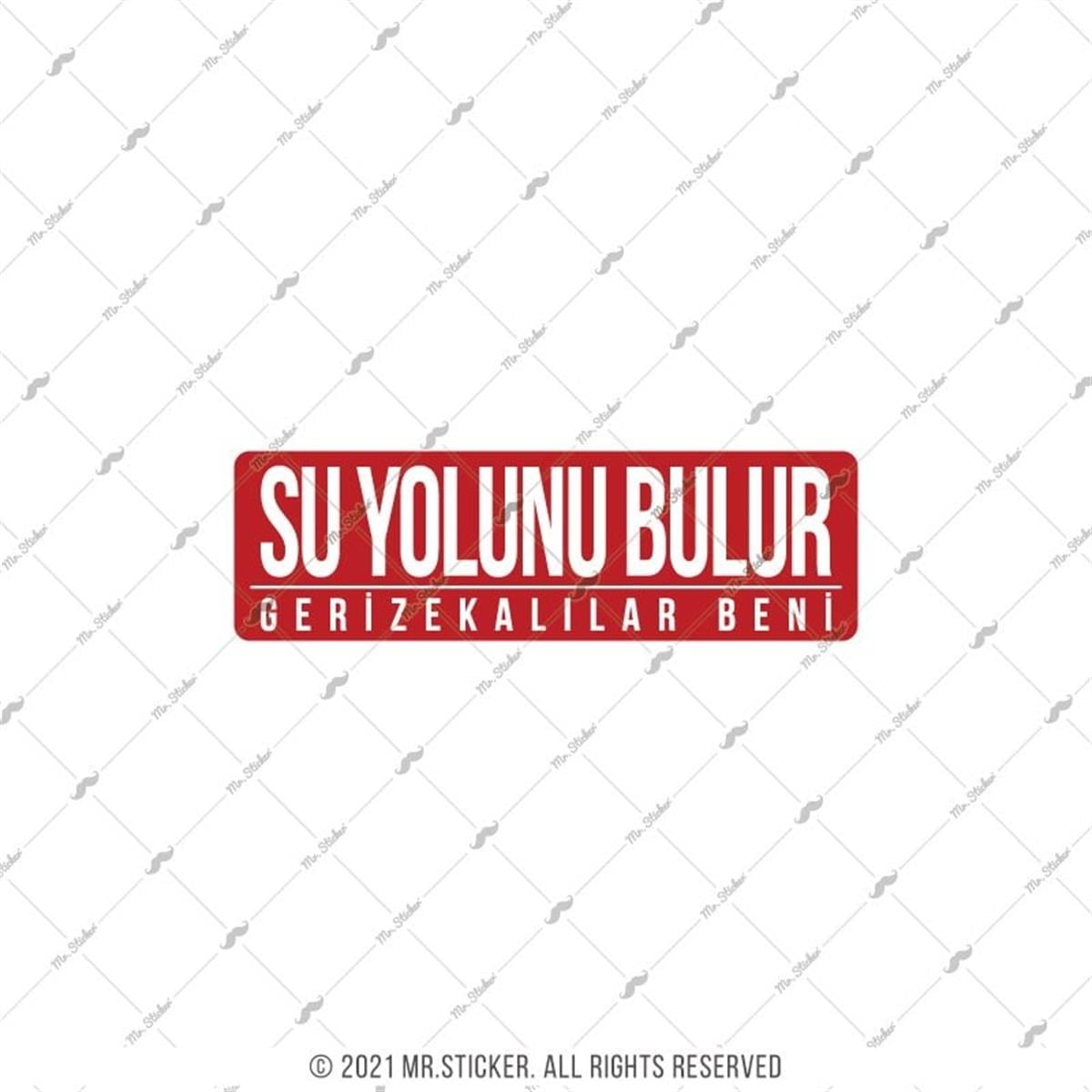ESP58 V3 Su Yolunu Bulur