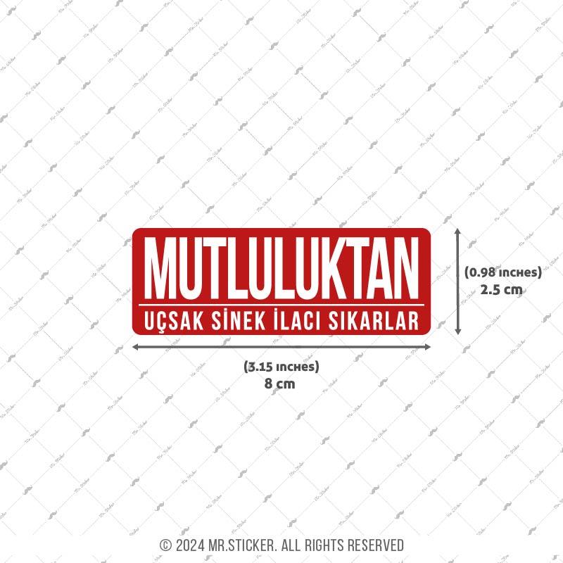 ESP65 V3 Mutluluktan Ucsak