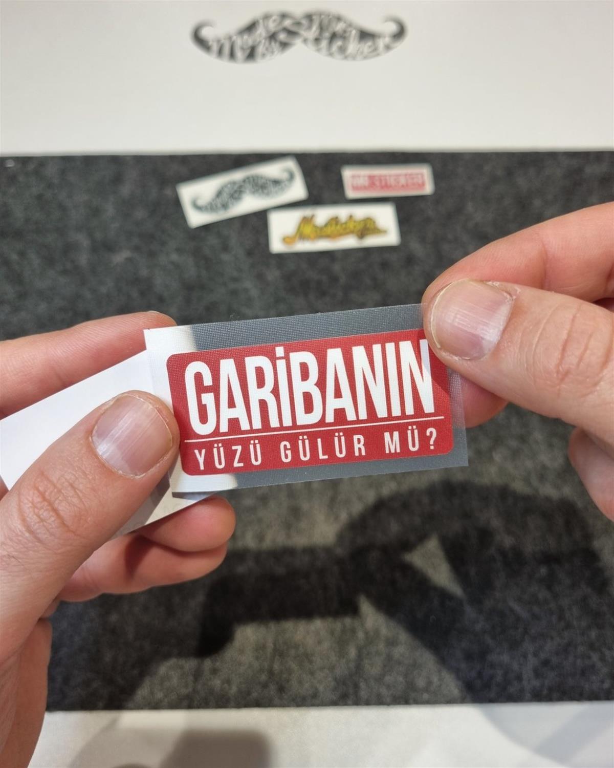 ESP71 V3 Garibanin Yuzu Gulur mu?
