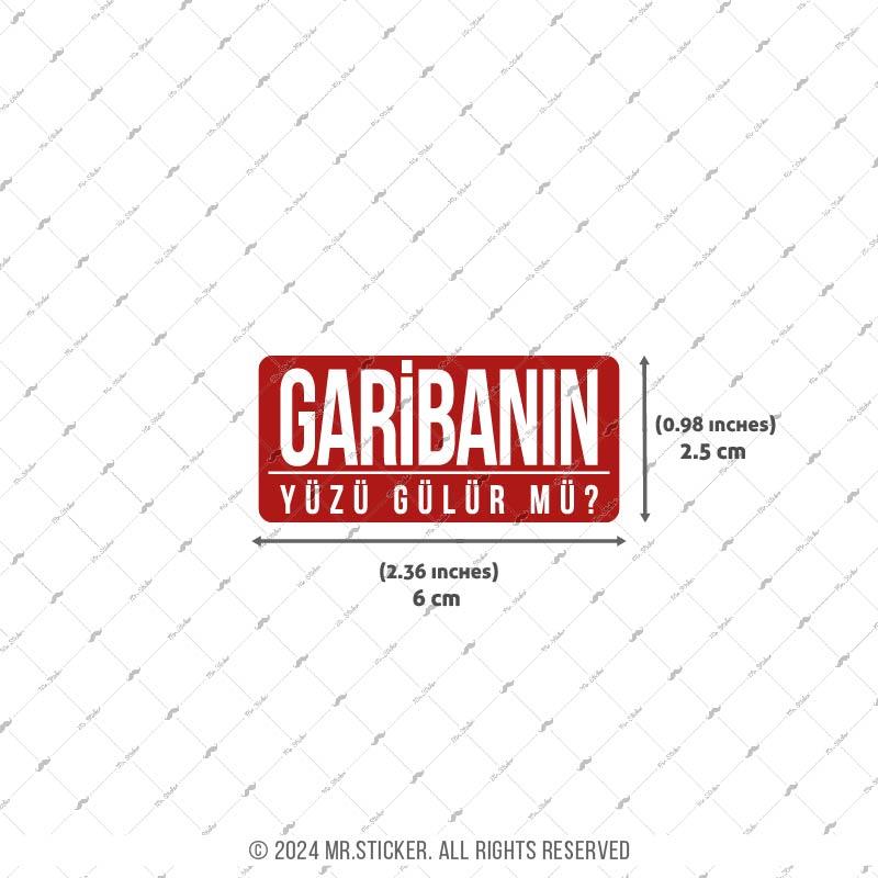ESP71 V3 Garibanin Yuzu Gulur mu?