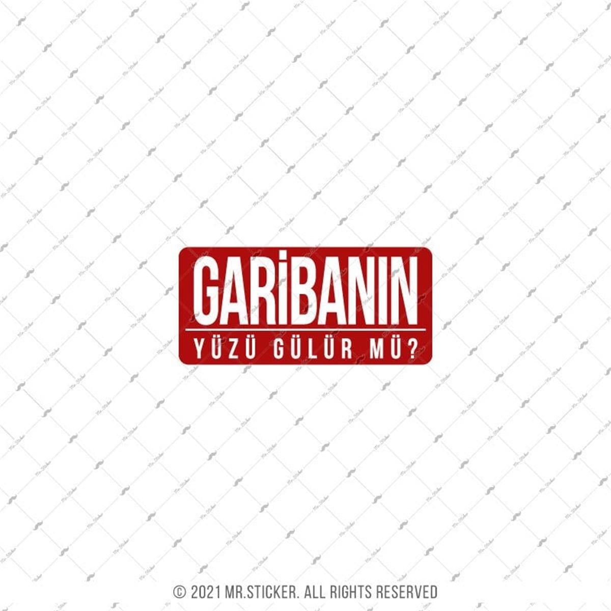 ESP71 V3 Garibanin Yuzu Gulur mu?