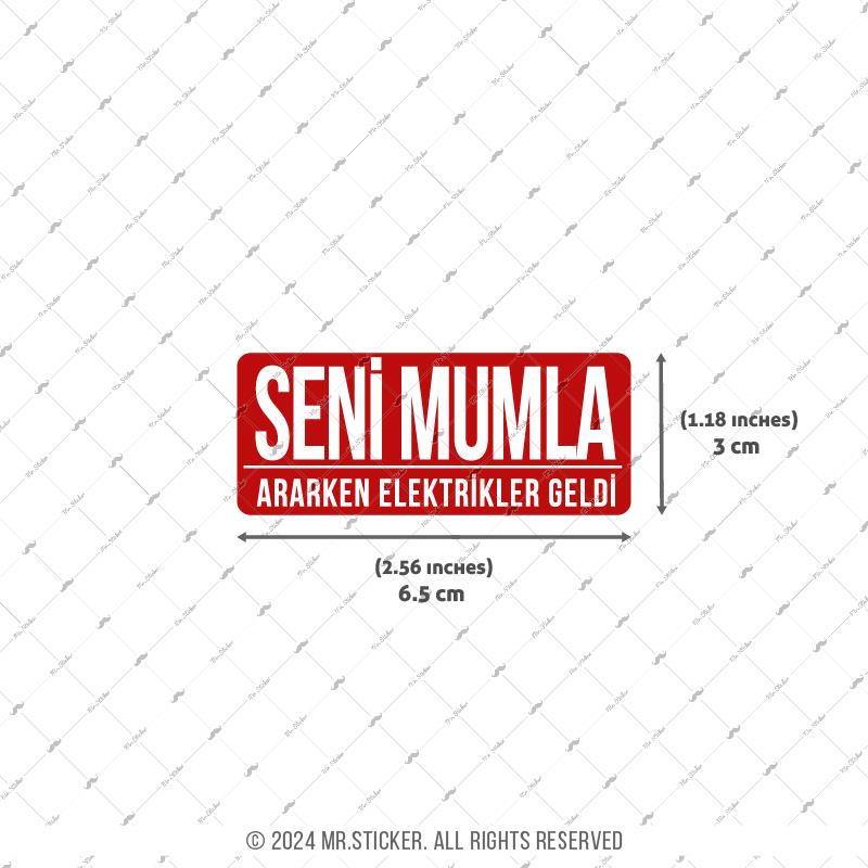 ESP76 Mumla Ararken Elektrikler Geldi
