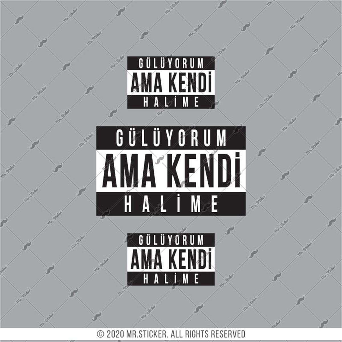 RFHLM200 Reflektif Guluyorum Halime Yazili Etiket Seti