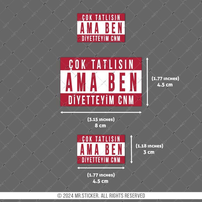 RFHLM206 Reflektif Cok Tatlısın Yazili Etiket Seti
