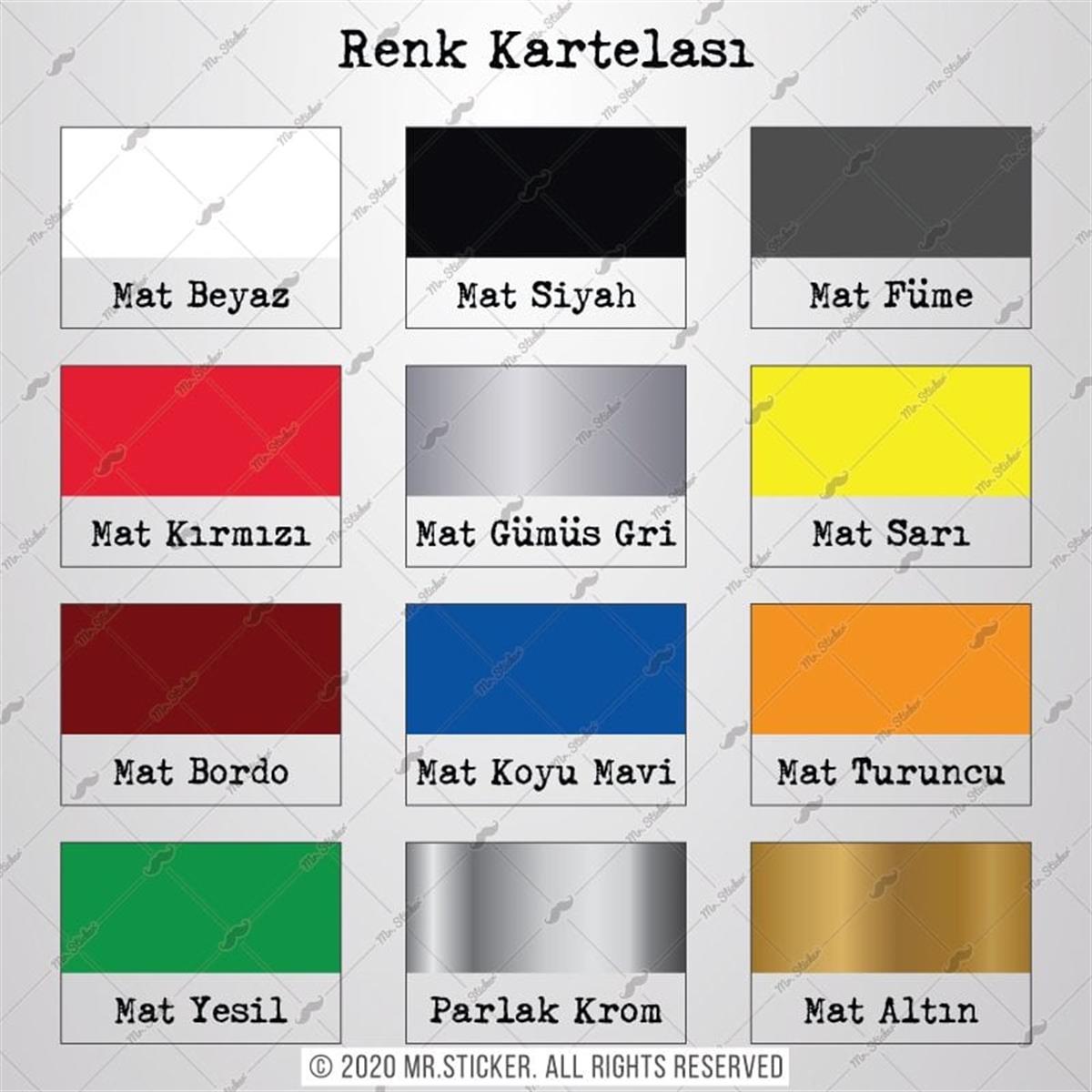 STS37 Renk Seçimi Yapılabilen Şerit