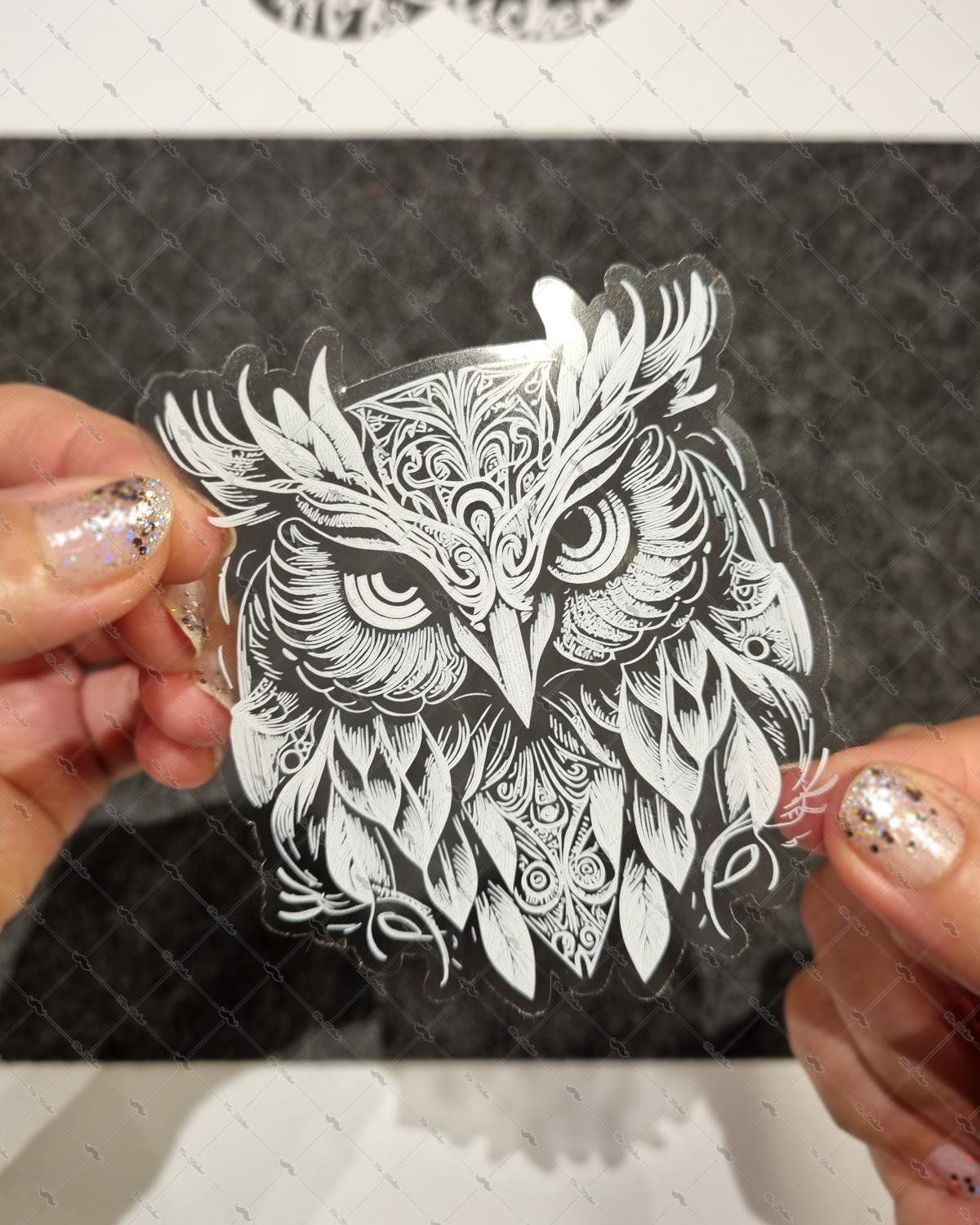 TWT2 Beyaz Çizgi Çalışma Baykuş Etiketi Şeffaf Sticker