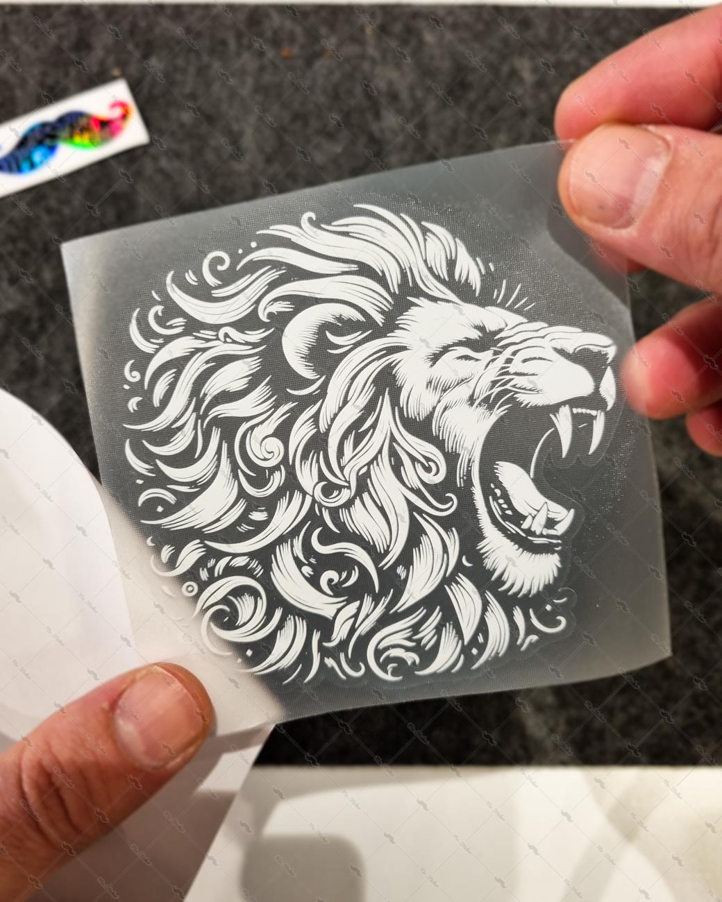 TWT26 Beyaz Çizgi Çalışma Kükreyen Aslan Etiketi Şeffaf Sticker