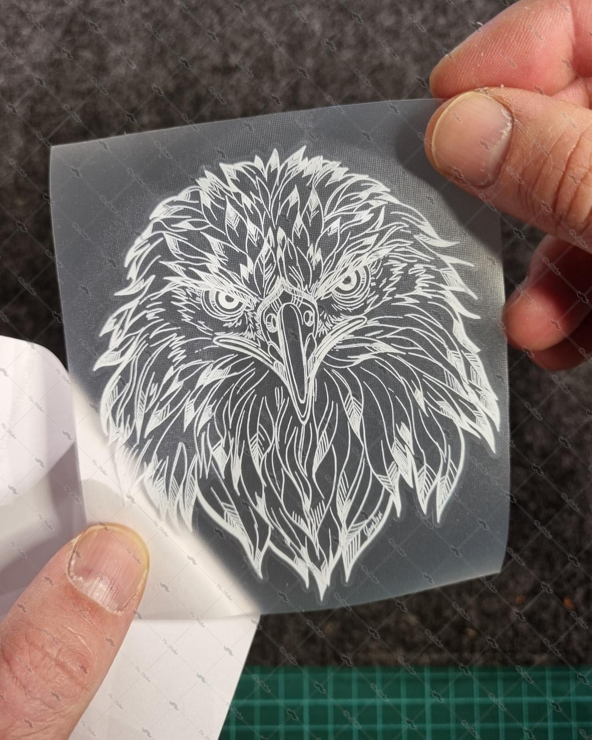 TWT4 Beyaz Çizgi Çalışma Kartal Kafası Etiketi Şeffaf Sticker