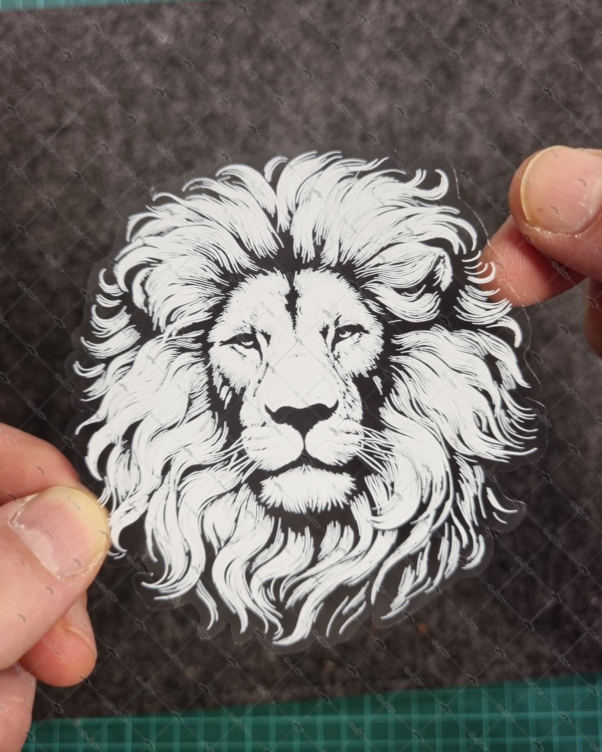 TWT6 Beyaz Çizgi Çalışma Aslan Etiketi Şeffaf Sticker