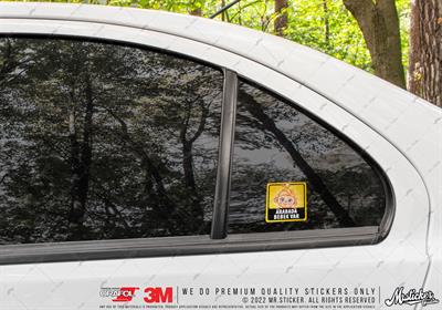 BOB14 Arabada Bebek Var Etiketi 3lü Set (Kiz Cocugu)