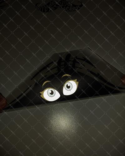 CAR17 Yari Reflektif Bagajdan Bakan Kadin Gozleri Etiketi