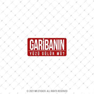 ESP71 V3 Garibanin Yuzu Gulur mu?