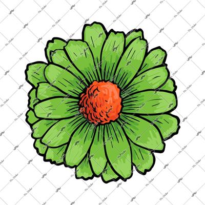 FLW10 Yesil Cicek Etiketi