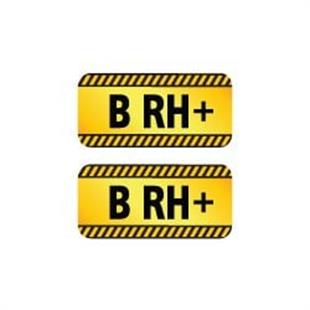 ISG17 Reflektif B Rh Pozitif (+) Kan Grubu Etiket Seti V2