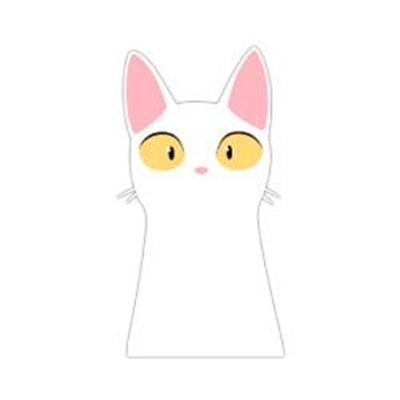 LPT21 Saskin Bakan Kedi Etiketi