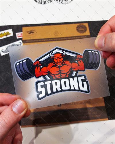 AN14 Kasli Boga Etiketi