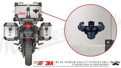 AN17 Kasli Jaguar Etiketi