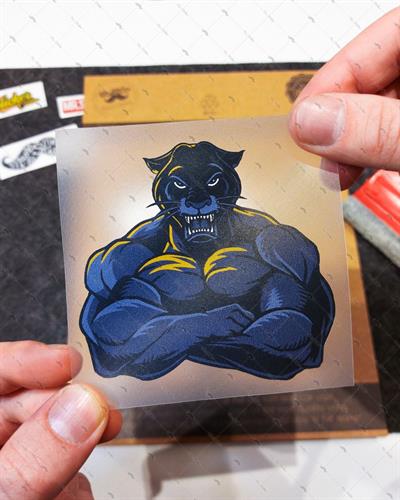 AN25 Kizgin Jaguar Etiketi