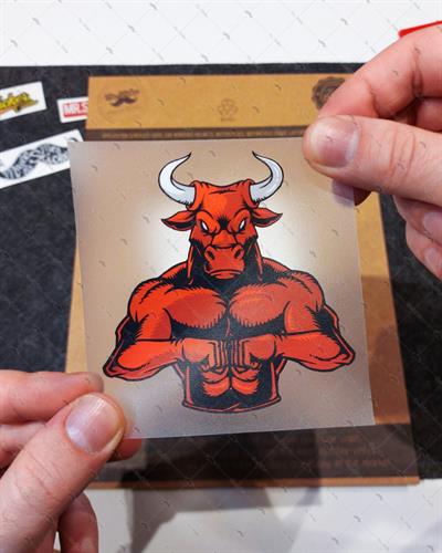 AN31 Kasli Boga Etiketi